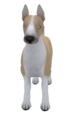 EnglishBullTerrierColored Tan.png