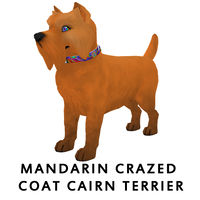 Mandarin Crazed Coat Cairn Terrier