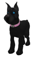 Black Miniature Schnauzer