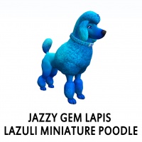 Jazzy Gem - Lapis Lazuli Miniature Poodle