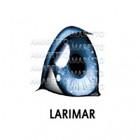 Larimar Eye