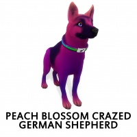 Peach Blossom Crazed German Shepherd