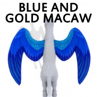 Blue and Gold Macaw