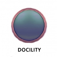 Circle -Docility Tag