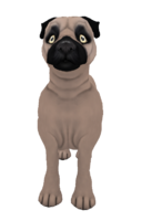 Pug Morrison Fawn