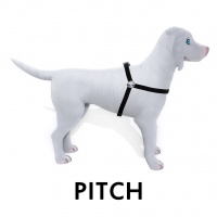 Pitch