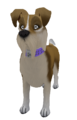 YorkieMutt2.png