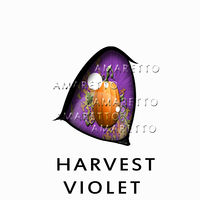 Harvest Violet