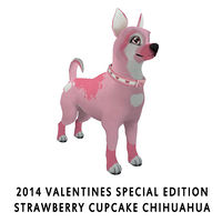 2014 Valentines Special Edition Strawberry Cupcake Chihuahua