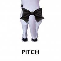 Pitch