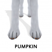 Pumpkin Paw Polish