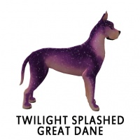 Twilight Splashed Great Dane