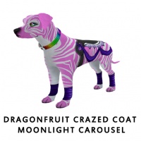 Dragonfruit Crazed Coat Moonlight Carousel