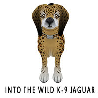 In to the Wild K-9 Jaguar