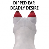 Dipped Ear Desire