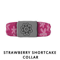 Strawberry Shortcake Collar