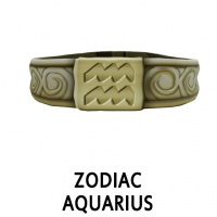 Zodiac Aquarius Collar