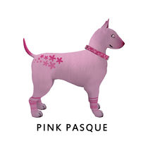 Pink Pasque Side