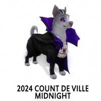 2024 Count De Ville - Midnight