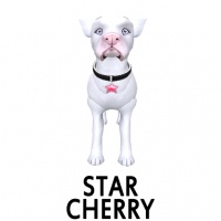 Star- Cherry