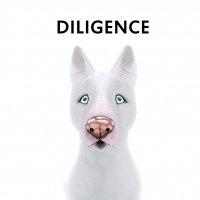 Diligence