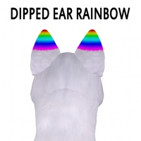 Dipped Ear Rainbow