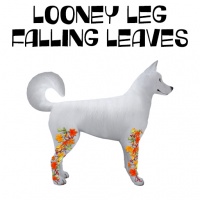 Looney Leg Falling leaves