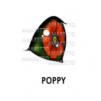 Poppy