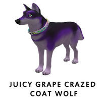 Juicy Grape Crazed Coat Wolf