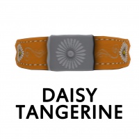 Daisy Tangerine