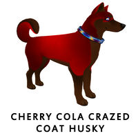 Cherry Cola Crazed Husky