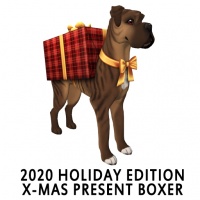 2020 Holiday Edition - X-mas Present Boxer