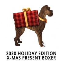 2020 Holiday Edition - X-mas Present Boxer