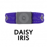 Daisy Iris