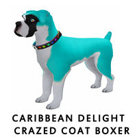 Caribbean Delight Crazed Coat Boxer