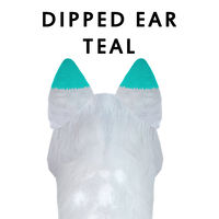 Dipped Ear Teal