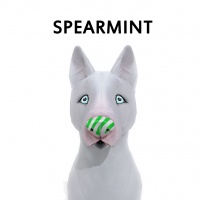 Spearmint