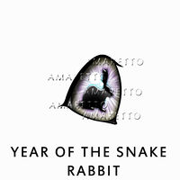 Year of the Rabbit - Opal