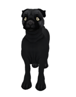 Pug Solid Black