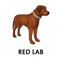 Red Lab