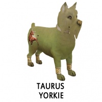 Taurus Yorkie