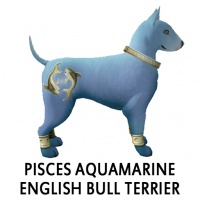 Pisces Aquamarine English Bull Terrier