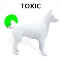 Dipped Tail Toxic