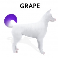 Dipped Tail Grape