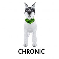 Chronic