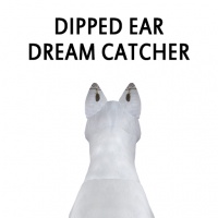 Dream Catche