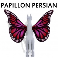 Papillon Persian