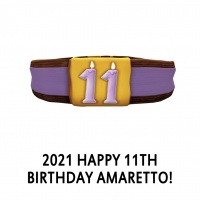 2021 Happy 11th Birthday Amaretto! Collar