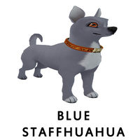 Blue Staffhuahua