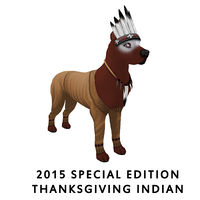 2015 Special Edition - Thanksgiving Indian